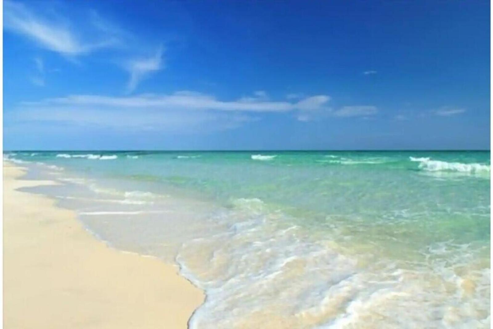 Beachfront Getaway In Siesta Key Eksteriør bilde